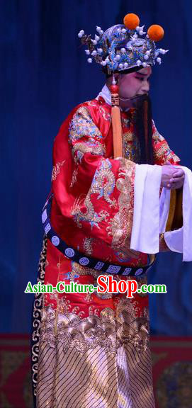 Li Sanniang Chinese Ping Opera Elderly Male Garment Costumes and Headwear Pingju Opera Official Liu Zhiyuan Apparels Clothing
