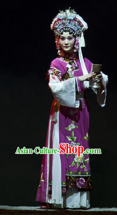 Chinese Beijing Opera Queen Garment Consort Bai Jie Costumes and Hair Accessories Traditional Peking Opera Diva Dress Hua Tan Purple Apparels