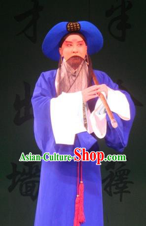 Hai Rui Bei Qian Chinese Peking Opera Laosheng Apparels Costumes and Headpieces Beijing Opera Elderly Male Garment Official Hai Rui Clothing
