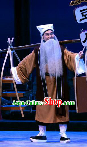 Breeze Pavilion Chinese Ping Opera Laosheng Garment Costumes and Headwear Pingju Opera Elderly Male Zhang Yuanfang Apparels Clothing