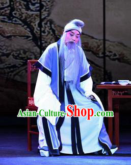 Zhao Jintang Chinese Ping Opera Elderly Male Garment Costumes and Headwear Pingju Opera Laosheng Apparels Old Man Clothing