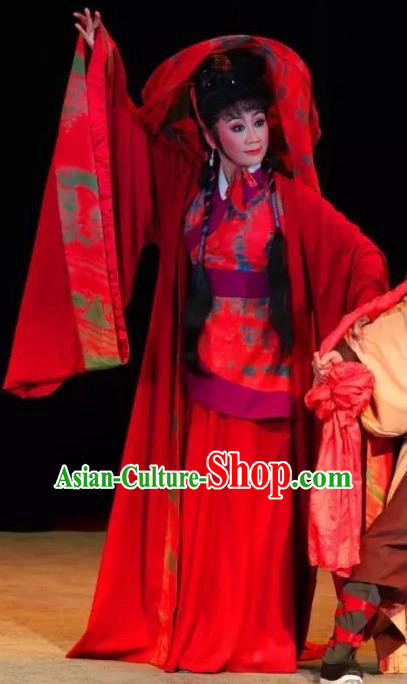 Chinese Sichuan Opera Bride Pu Lan Costumes and Hair Accessories Yu Hai Kuang Chao Traditional Peking Opera Hua Tan Red Dress Actress Apparels