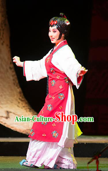 Chinese Sichuan Opera Young Lady Costumes and Hair Accessories Hui Lan Ji Traditional Peking Opera Xiaodan Dress Servant Girl Du Juan Apparels