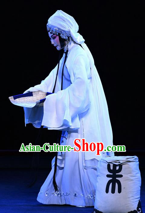 Chinese Ping Opera Tsing Yi Zhao Jintang Apparels Costumes and Headpieces Traditional Pingju Opera Distress Maiden Dress Garment
