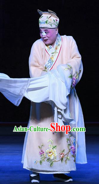 Zhao Jintang Chinese Ping Opera Treacherous Male Song Cheng Garment Costumes and Headwear Pingju Opera Bully Apparels Clothing