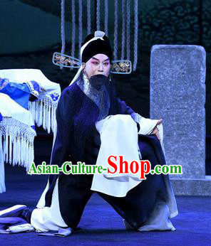 Zhao Jintang Chinese Ping Opera Elderly Male Garment Costumes and Headwear Pingju Opera Laosheng Zhu Chundeng Apparels Clothing