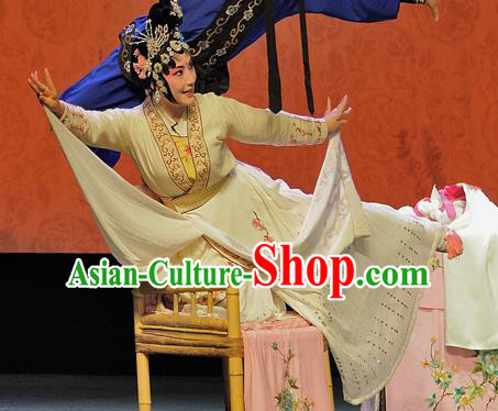 Chinese Sichuan Opera Swordswoman Bai Suzhen The Legend of White Snake Garment Costumes and Hair Accessories Traditional Peking Opera Martial Female Dress Apparels