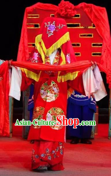 Chinese Sichuan Opera Bride The Legend of White Snake Bai Suzhen Garment Costumes and Hair Accessories Traditional Peking Opera Hua Tan Red Dress Apparels