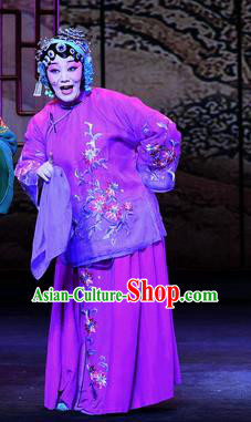 Chinese Ping Opera Elderly Female Apparels Costumes and Headpieces Zhao Jintang Traditional Pingju Opera Aunt Song Dress Garment