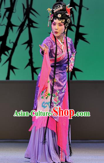 Chinese Sichuan Opera Young Female Garment Costumes and Hair Accessories Traditional Peking Opera Xue Baochai Dress Maidservant Purple Apparels