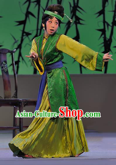 Chinese Sichuan Opera Concubine Zhao Garment Costumes and Hair Accessories Traditional Peking Opera Xue Baochai Dress Actress Apparels