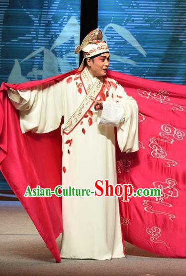 Li Yaxian Chinese Sichuan Opera Childe Zheng Yuanhe Apparels Costumes and Headpieces Peking Opera Young Male Garment Xiaosheng Clothing