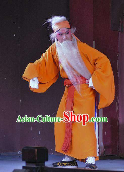 Jin Dian Shen La Chinese Sichuan Opera Laosheng Apparels Costumes and Headpieces Peking Opera Old Servant Chen Rong Garment Clothing