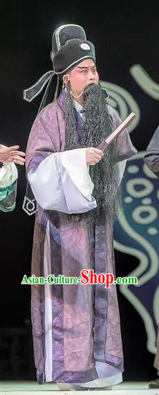 Bao En Ji Chinese Sichuan Opera Laosheng Apparels Costumes and Headpieces Peking Opera Elderly Male Garment Official Wen Datong Clothing