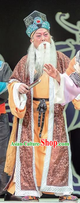 Bao En Ji Chinese Sichuan Opera Elderly Male Apparels Costumes and Headpieces Peking Opera Laosheng Garment Landlord Clothing