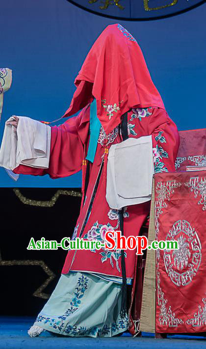 Chinese Sichuan Opera Bride Garment Costumes and Hair Accessories Ci Tang Chen Traditional Peking Opera Young Female Dress Diva Xue Yan Apparels