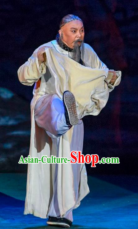 Scholar of Ba Shan Chinese Sichuan Opera Old Scholar Sun Dengke Apparels Costumes and Headpieces Peking Opera Garment Elderly Male Clothing