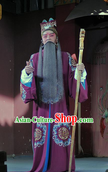 Chinese Sichuan Opera Elderly Male Wang Yun Apparels Costumes and Headpieces Peking Opera Landlord Garment Official Clothing