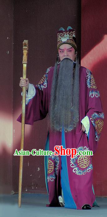 Chinese Sichuan Opera Elderly Male Wang Yun Apparels Costumes and Headpieces Peking Opera Landlord Garment Official Clothing