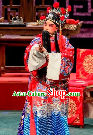 Qin Xianglian Chinese Sichuan Opera Laosheng Apparels Costumes and Headpieces Peking Opera Elderly Male Garment Scholar Chen Shimei Clothing