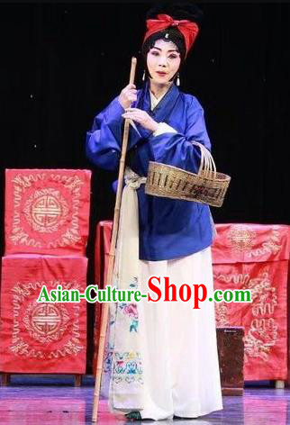 Chinese Sichuan Opera Female Beggar He Zhu Garment Costumes and Hair Accessories He Zhu Pei Traditional Peking Opera Servant Girl Dress Xiaodan Apparels