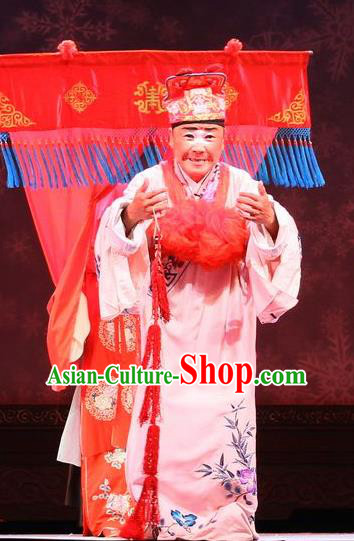 He Zhu Pei Chinese Sichuan Opera Landlord Huang Longgun Apparels Costumes and Headpieces Peking Opera Rich Man Garment Bully Clothing