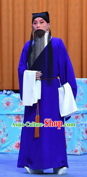 Yu Bei Pavilion Chinese Peking Opera Elderly Scholar Garment Costumes and Headwear Beijing Opera Laosheng Blue Robe Apparels Clothing