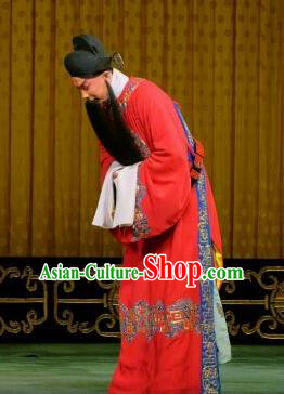 Yu Bei Pavilion Chinese Peking Opera Minister Garment Costumes and Headwear Beijing Opera Apparels Official Embroidered Robe Clothing