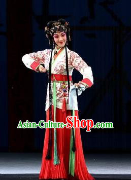 Chinese Beijing Opera Young Lady Apparels Costumes and Headpieces Xin Zhui Traditional Peking Opera Han Dynasty Female Dress Garment
