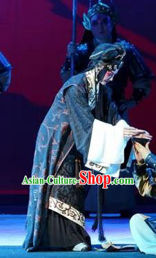 Chinese Beijing Opera Noble Woman Apparels Costumes and Headdress Xin Zhui Traditional Peking Opera Han Dynasty Dress Actress Garment