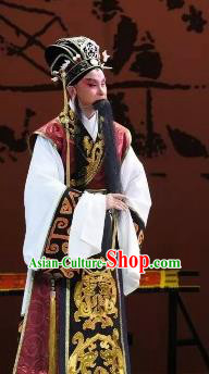 Xin Zhui Chinese Peking Opera Laosheng Li Cang Garment Costumes and Headwear Beijing Opera Elderly Male Apparels Clothing