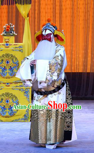 Da Bao Guo Er Jin Gong Chinese Peking Opera Lord Xu Yanzhao Garment Costumes and Headwear Beijing Opera Laosheng Elderly Male Apparels Clothing