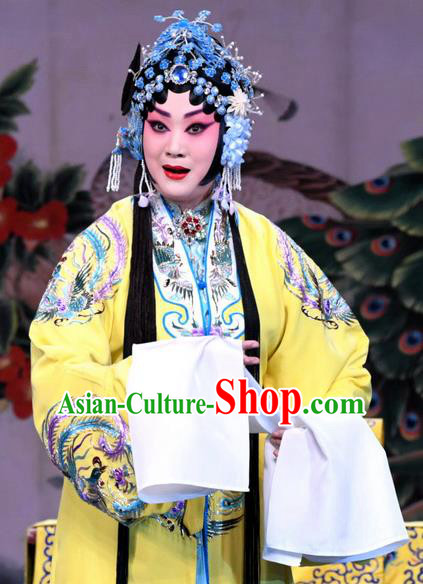 Chinese Beijing Opera Actress Li Yanfei Apparels Costumes and Headdress Da Bao Guo Er Jin Gong Traditional Peking Opera Noble Consort Dress Garment