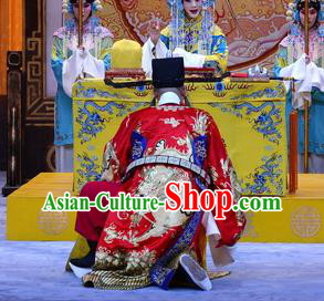 Da Bao Guo Er Jin Gong Chinese Peking Opera Elderly Male Garment Costumes and Headwear Beijing Opera Treacherous Official Li Liang Apparels Clothing