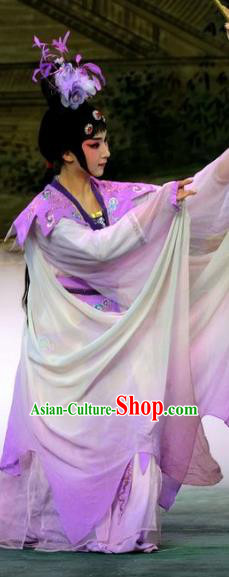 Chinese Beijing Opera Xiaodan Apparels Costumes and Headpieces Tai Zhen Wai Zhuan Traditional Peking Opera Goddess Garment Dress