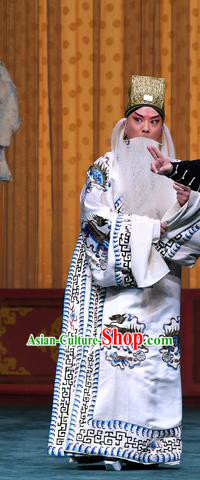 Sacrifice Zhao Shi Gu Er Chinese Peking Opera Official Cheng Ying Garment Costumes and Headwear Beijing Opera Elderly Male Apparels Clothing