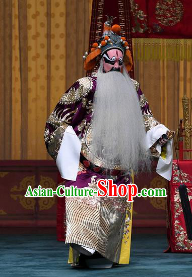 Sacrifice Zhao Shi Gu Er Chinese Peking Opera King Garment Costumes and Headwear Beijing Opera Elderly Male Apparels Landlord Clothing