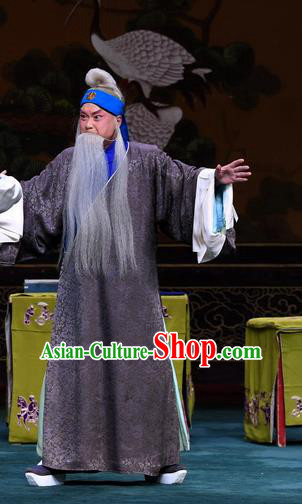 Sacrifice Zhao Shi Gu Er Chinese Peking Opera Laosheng Gongsun Chujiu Garment Costumes and Headwear Beijing Opera Elderly Man Apparels Clothing