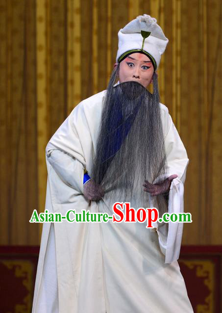 Revenge of the Fisherman Chinese Peking Opera Laosheng Garment Costumes and Headwear Beijing Opera Apparels Elderly Male Clothing
