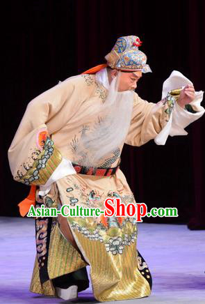 Kangxi Dadi Chinese Peking Opera Elderly Male Garment Costumes and Headwear Beijing Opera Official Wu She Apparels Clothing