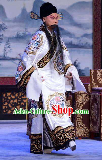 Chu Palace Hen Chinese Peking Opera Old Male Garment Costumes and Headwear Beijing Opera Laosheng Wu She Apparels Official Clothing