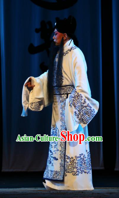 Da Meng Chang Ge Chinese Peking Opera Laosheng Xin Qiji Garment Costumes and Headwear Beijing Opera Elderly Male Apparels Clothing