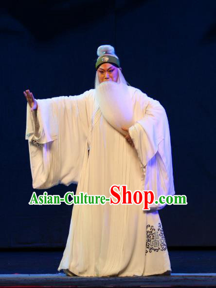 Da Meng Chang Ge Chinese Peking Opera Elderly Male Garment Costumes and Headwear Beijing Opera Laosheng Apparels Poet Xin Qiji Clothing