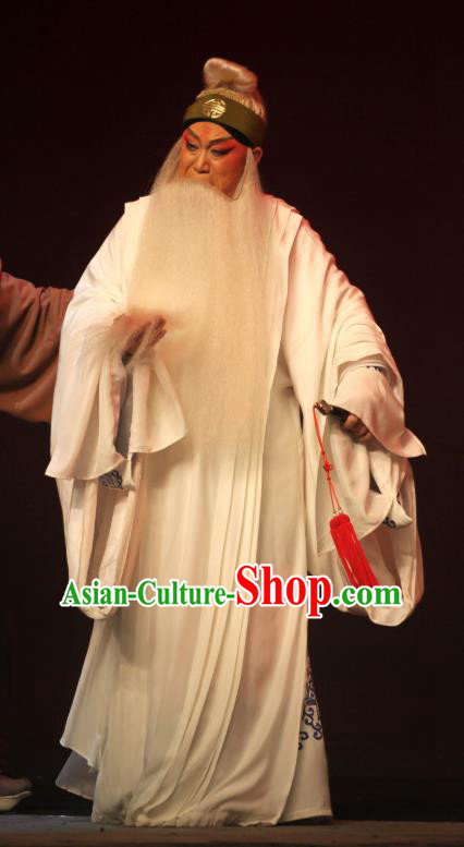 Da Meng Chang Ge Chinese Peking Opera Elderly Male Garment Costumes and Headwear Beijing Opera Laosheng Apparels Poet Xin Qiji Clothing