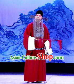 Tun Wu Hen Chinese Peking Opera Elderly Male Garment Costumes and Headwear Beijing Opera Laosheng Apparels Official Zhuge Jin Clothing