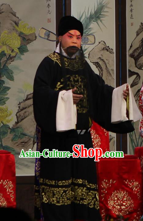 Qun Jie Hua Chinese Peking Opera Official Garment Costumes and Headwear Beijing Opera Laosheng Apparels Elderly Male Lu Su Clothing