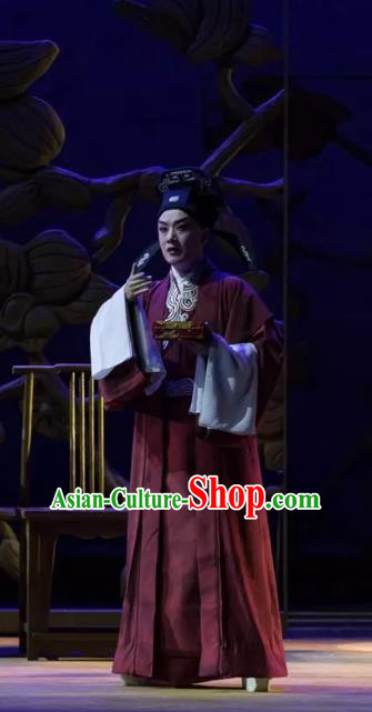 Qing Si Hen Chinese Peking Opera Young Male Garment Costumes and Headwear Beijing Opera Xiaosheng Apparels Scholar Wang Kui Clothing