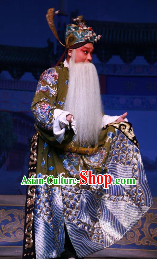 Xue Gang Fan Tang Chinese Bangzi Opera Xu Ce Apparels Costumes and Headpieces Traditional Shanxi Clapper Opera Official Garment Elderly Man Clothing