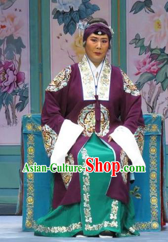 Chinese Hebei Clapper Opera Rich Dame Garment Costumes and Headdress The Story of Jade Bracelet Traditional Bangzi Opera Pantaloon Dress Elderly Female Apparels