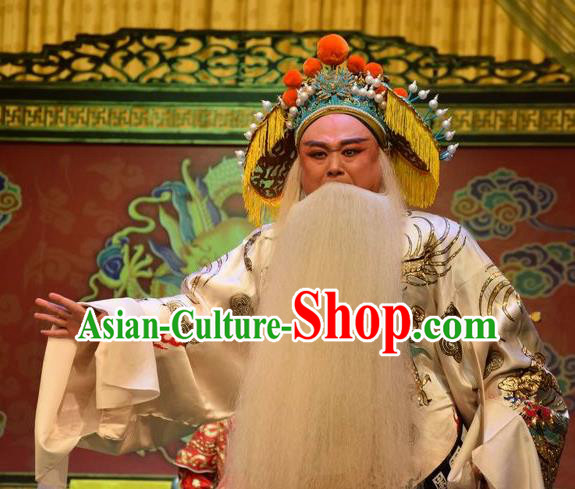 Da Jin Zhi Chinese Shanxi Opera Lord Apparels Costumes and Headpieces Traditional Jin Opera Laosheng Garment Duke Guo Ziyi Clothing
